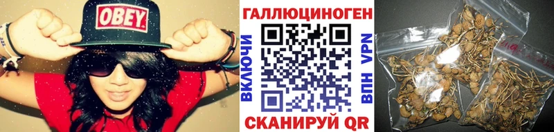 магазин наркотиков Кирово-Чепецк Галлюциногенные грибы Cubensis